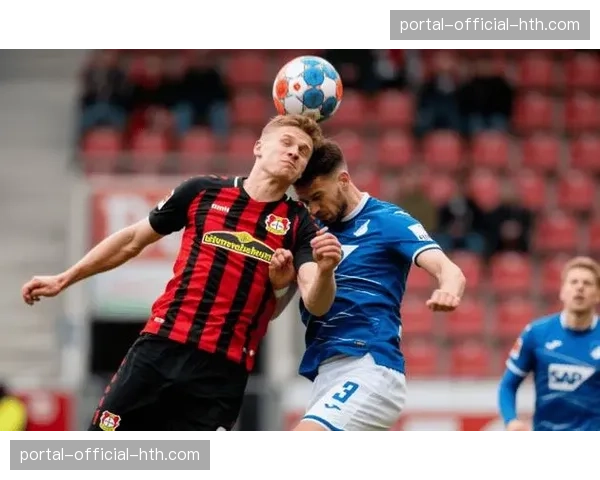 霍芬海姆主力后腰因伤缺阵，球队三月拦截数据预计将受较大影响