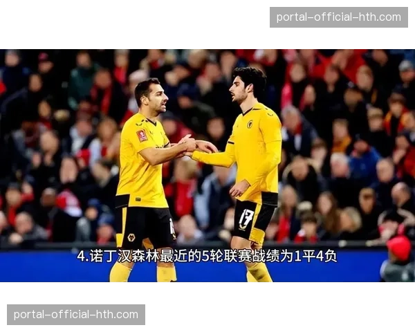 英超赛场花絮:热刺vs诺丁汉森林比赛中,闯入的猫成为社交网络焦点 英超赛场花絮:热刺vs诺丁汉森林比赛中,闯入的猫成为社交网络焦点